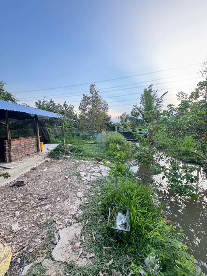 Đất Cái Nhum 2038m² - Sổ đỏ, thổ cư 100%, thu nhập 20 triệu!