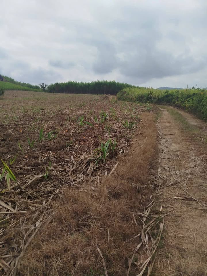 Bán đất Ninh Tân, Ninh Hòa 976m² - Giá 1.74 Tỷ - Sổ Đỏ Rõ Ràng