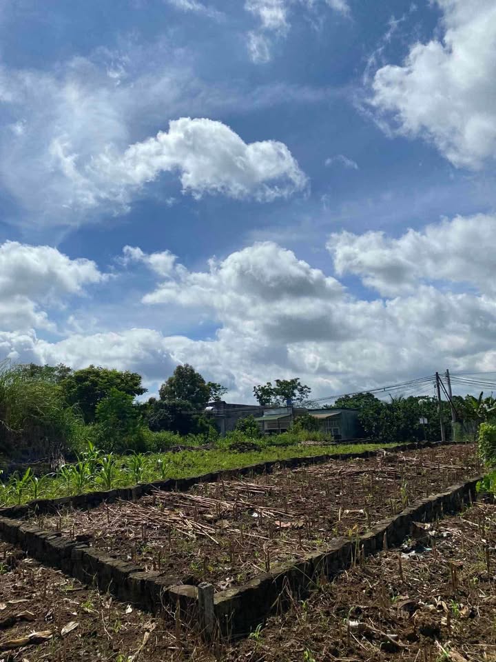 Đất nền Trà cổ Đồng Nai 150m² - Sẵn móng, khu dân cư đông đúc