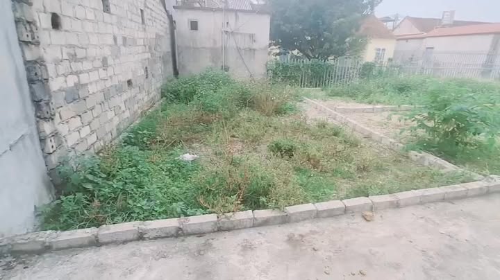 Đất Nền Thượng Lâm, Mỹ Đức 40.2m² - Hơn 800 Triệu Sở Hữu Ngay!