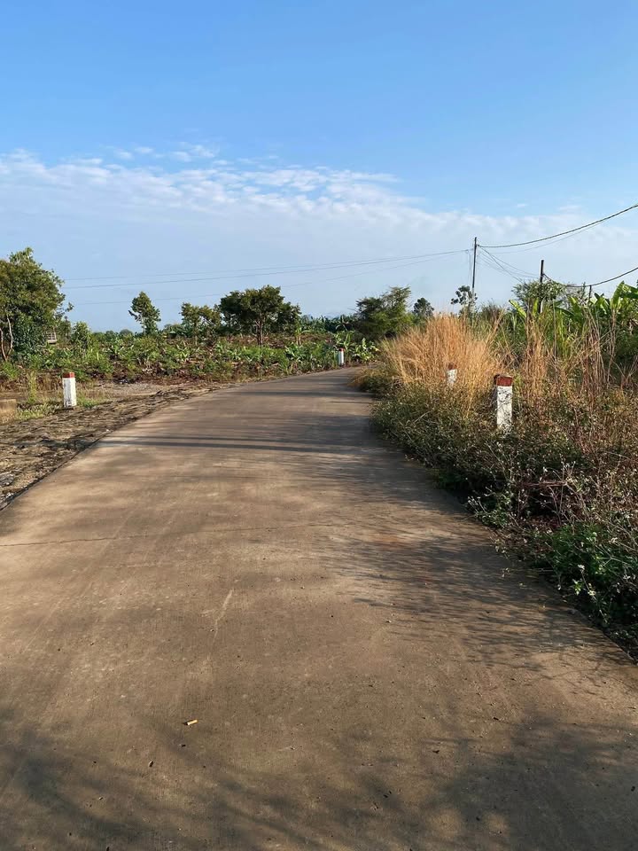 Đất Vườn Đồng Nai 5600m² - Sổ Đỏ, Mặt Tiền Bê Tông 20m - Giá Đầu Tư 600 Triệu