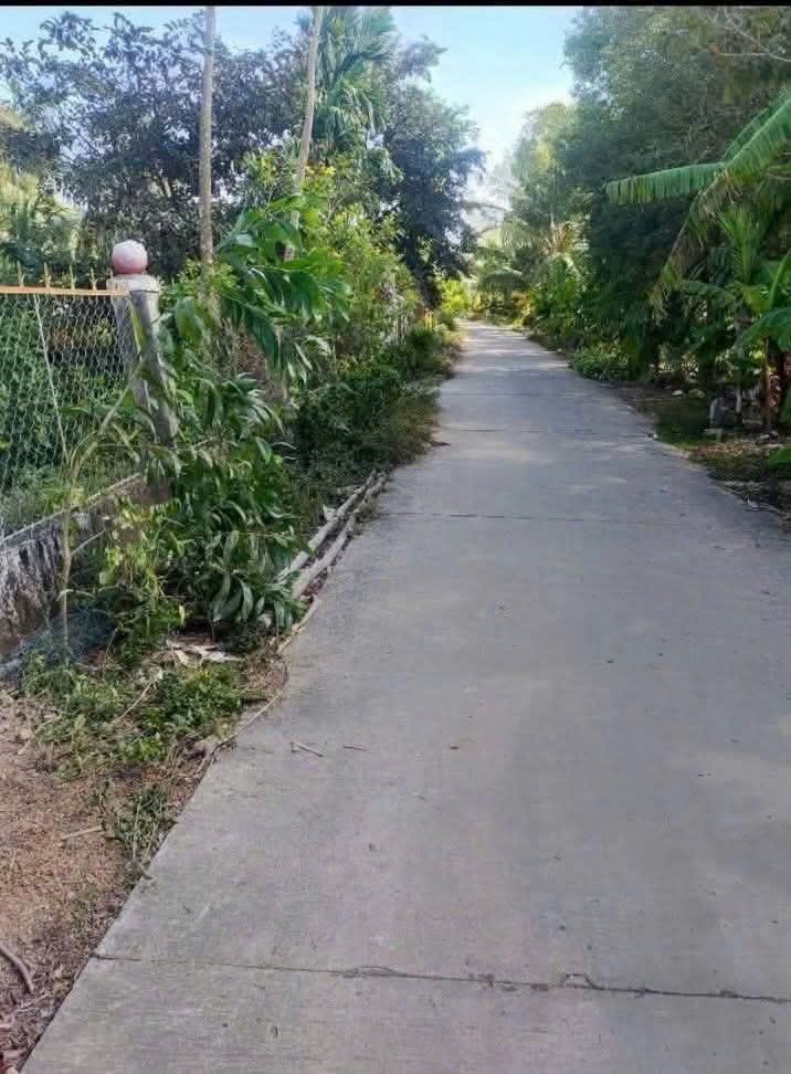 Bán Nền Sóc Trăng 308m² Mặt Tiền Sông, Lộ Ô Tô - Giá 290 Triệu