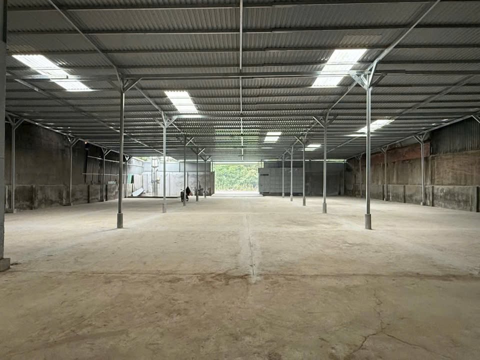 Cho thuê kho xưởng Cầu Lớn, Hóc Môn 1250m² - Sẵn sàng hoạt động, giá 60 triệu/tháng