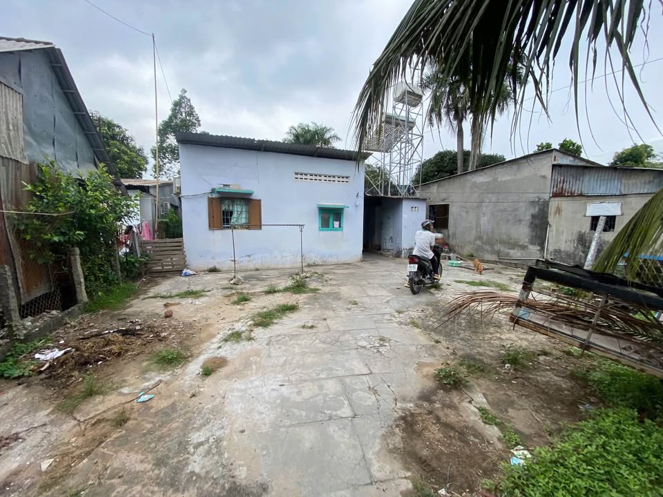 Đất nền Mỹ Thới 58m² - Sổ đỏ chính chủ, chỉ 450 triệu!