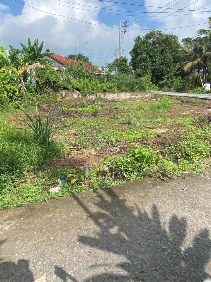 Đất nền Mỹ Hòa, Long Xuyên 81m² - Tiềm năng tăng giá!