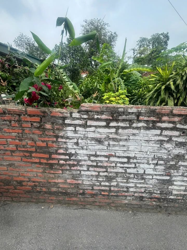 Bán đất Cẩm Thủy 60m² Hướng Tây - Ô tô đỗ cửa chỉ 1.1 tỷ