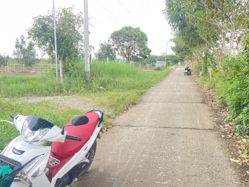 Đất nền Long Xuyên 500m² (20x25m) - Hướng Tây, Sổ hồng, Giá 5xx Tỷ