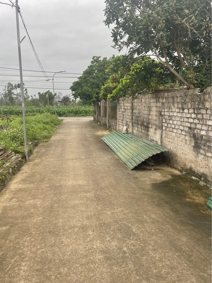 Đất Nền Nghi Lộc 140m² - 890 Triệu, Ô Tô Tận Nơi, Dân Cư Đông Đúc