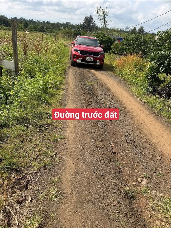 Đất nền Ea Drông Buôn Hồ 460m² 539 triệu - Sổ đỏ chính chủ!