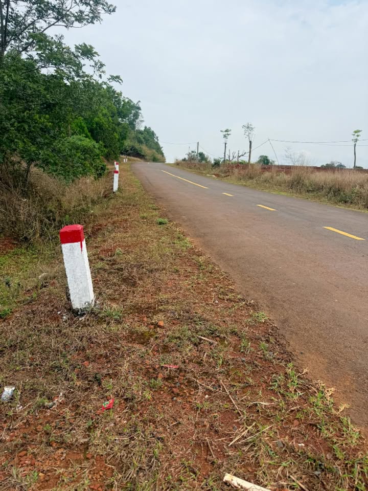 Đất Nông Nghiệp 6000m² Mặt Tiền Tĩnh Lộ 681 Tuy Đức - Giá Tốt Đầu Tư