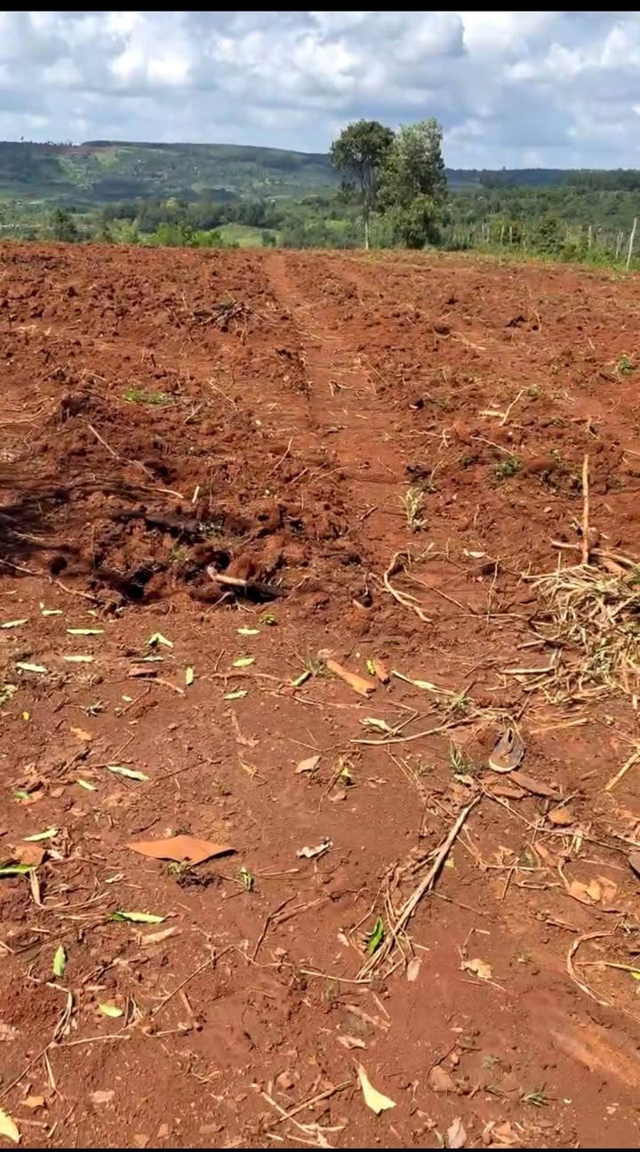 Đất vườn Tuy Hòa 14ha - Giá tốt, Đầu tư dài hạn!