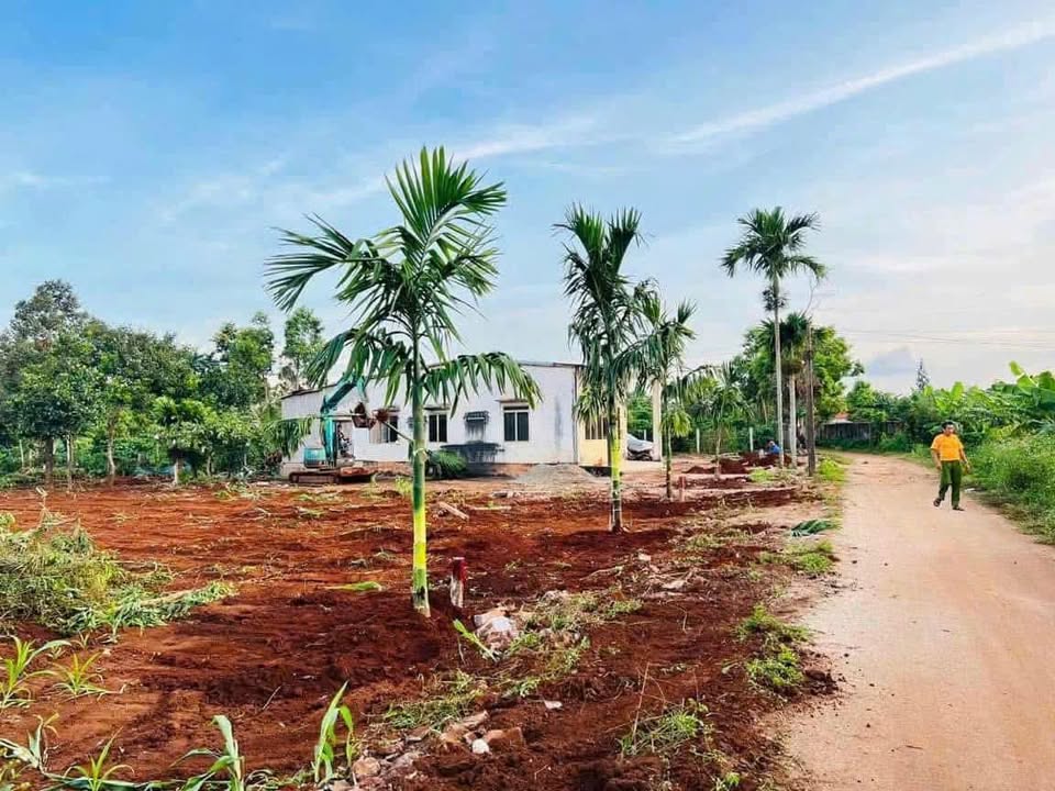 Đất nền Ia Rưng, Chư Prông chỉ từ 230 triệu - Sổ đỏ chính chủ!