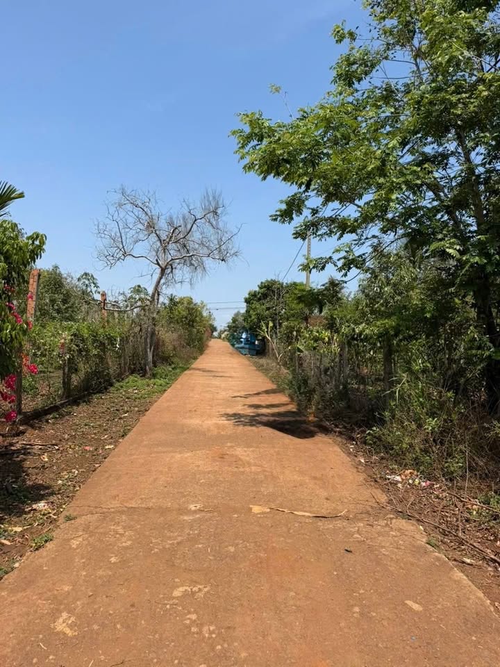 Đất nền Ea D'Rơng, Đắk Lắk - Sổ hồng 198m², ngang 6m - Giá 279 triệu