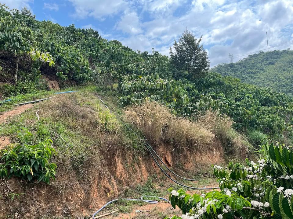 Đất Nền 2ha Mặt Tiền QL27 Đam Rông, Lâm Đồng - Giá Thỏa Thuận