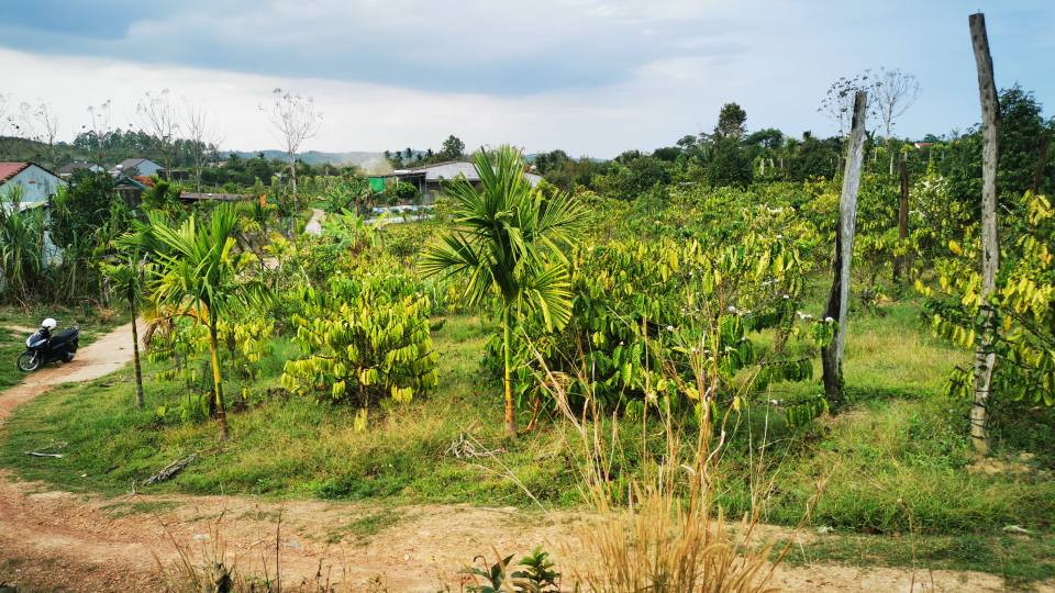 Đất nền Bảo Lâm 495m² Thổ cư, view đồiChill - Sổ sẵn