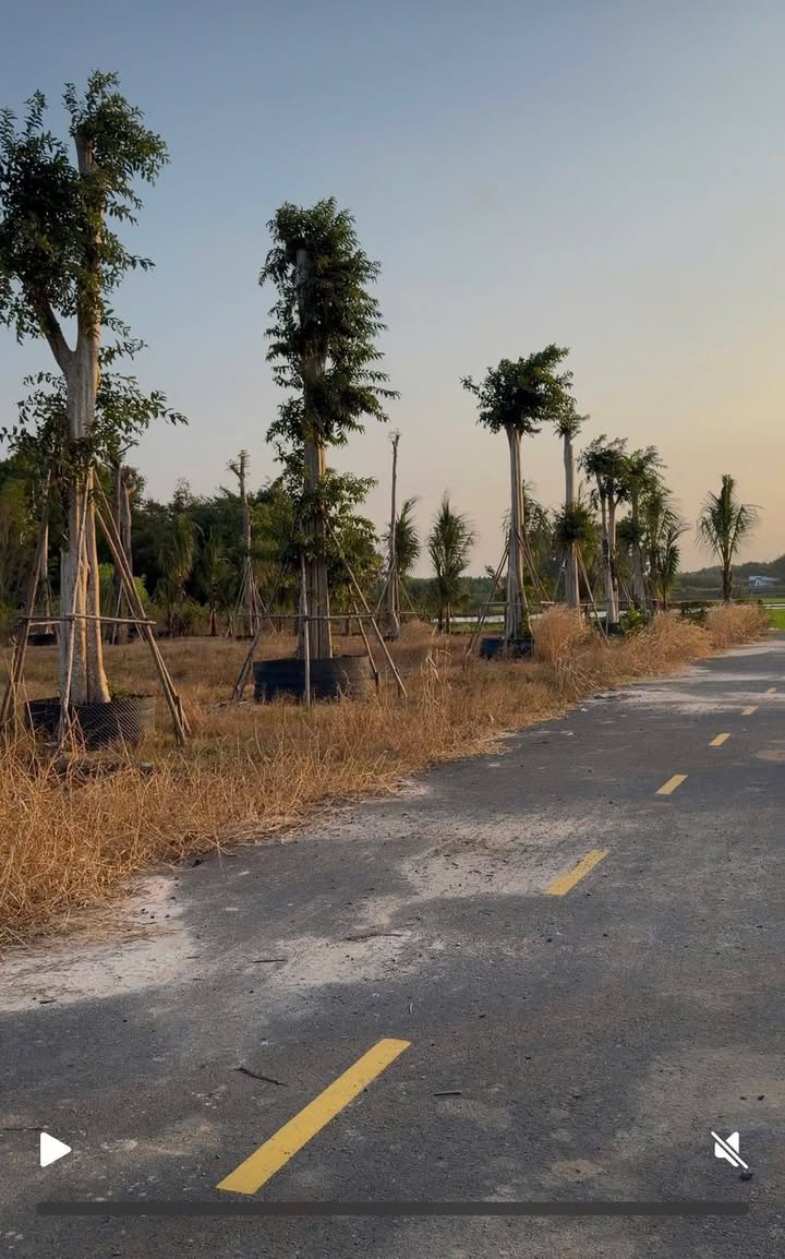 Đất Nền Hồ Tràm 320m² chỉ 2.8 Tỷ - Tiềm năng tăng giá vượt trội!