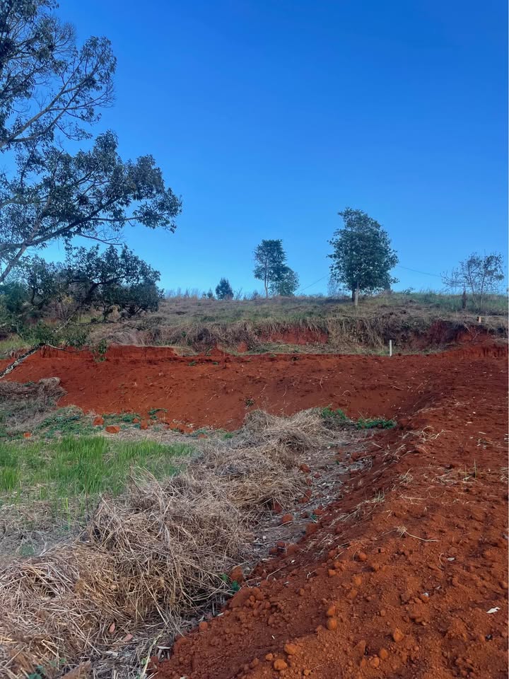 Đất rẫy Bảo Lộc 10ha, 3.25 tỷ - Tiềm năng tăng giá vượt trội!