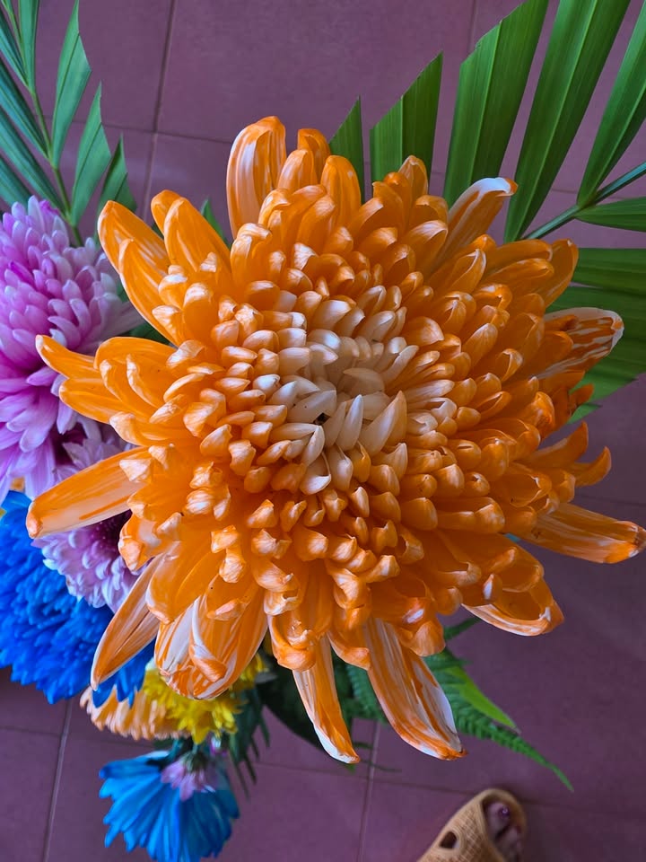 Đất Hẻm 61 Nguyễn Thái Bình, Đà Lạt - 125m² Sổ Đỏ, Giá 1.25 Tỷ