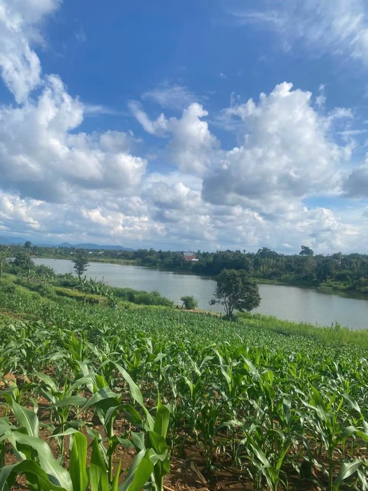 Đất Vườn View Hồ Ea Ning 5500m² - Giá Đầu Tư 3.2 Tỷ