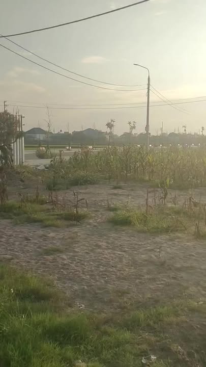 Đất Mặt Đường Trục Xã Giao Hà - Giao Thủy, Nam Định - 98m² - 1.3 Tỷ