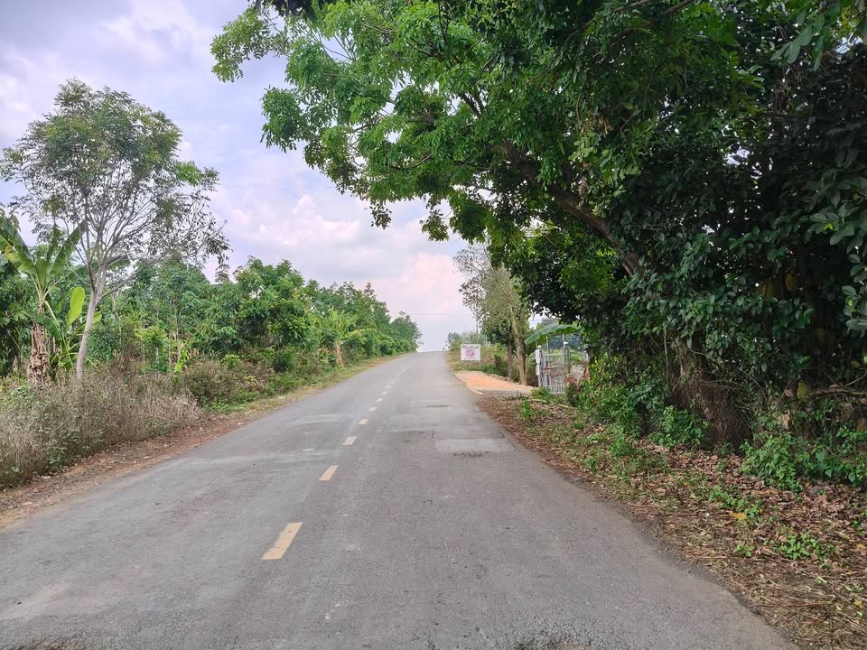 Bán Đất Mặt Tiền ĐT757 Chơn Thành, Bình Phước - 316m² Giá Ngộp 3.3 Tỷ