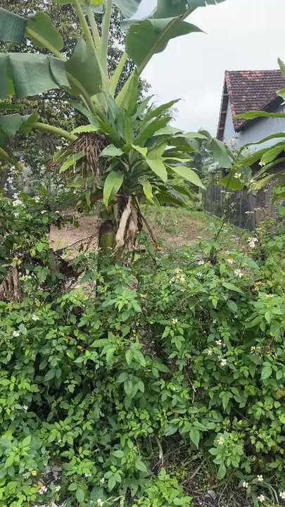 Bán Gấp Lô Đất Vàng Xã Glar, Đăk Đoa, Gia Lai - 360m² Sổ Đỏ Chính Chủ