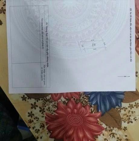 Đất nền Quang Tiến Sóc Sơn 180m² - Tiềm năng tăng giá vượt trội!