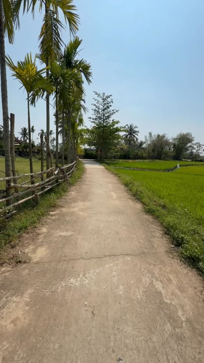 Bán Đất Vườn Đà Nẵng 420m² Đường Ô Tô Giá 1.8 Tỷ - Vị Trí Đẹp