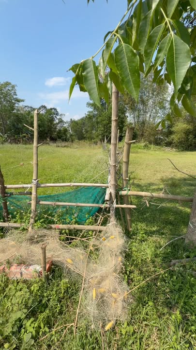 Đất nền Hòa Vang 125m² - Đường to ô tô, giá tốt đầu tư!