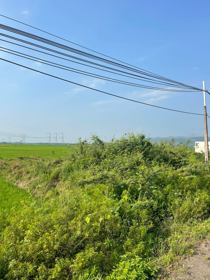 Đất nền Hòa Vang Đà Nẵng 210m² 2 tỷ - Tiềm năng tăng giá!