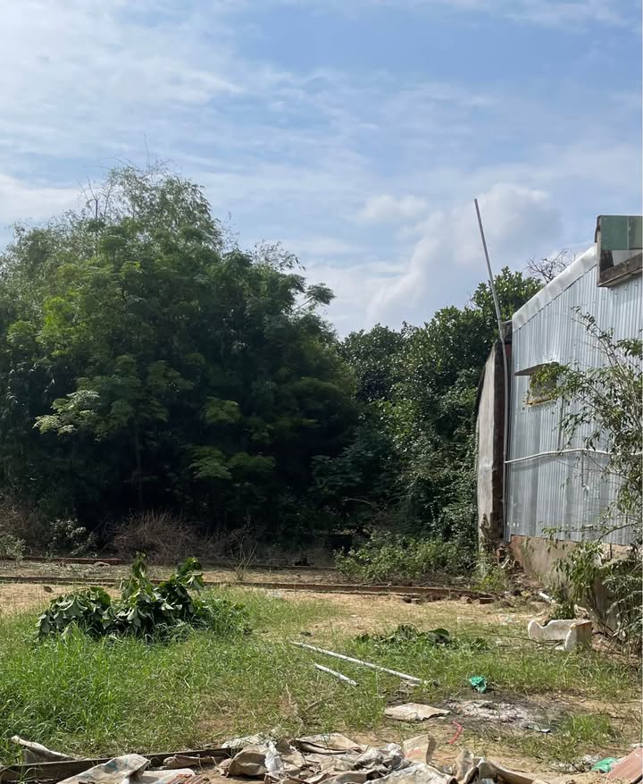 Đất nền Thị xã Điện Bàn 52.7m² - Sổ đỏ chính chủ, tiềm năng sinh lời!