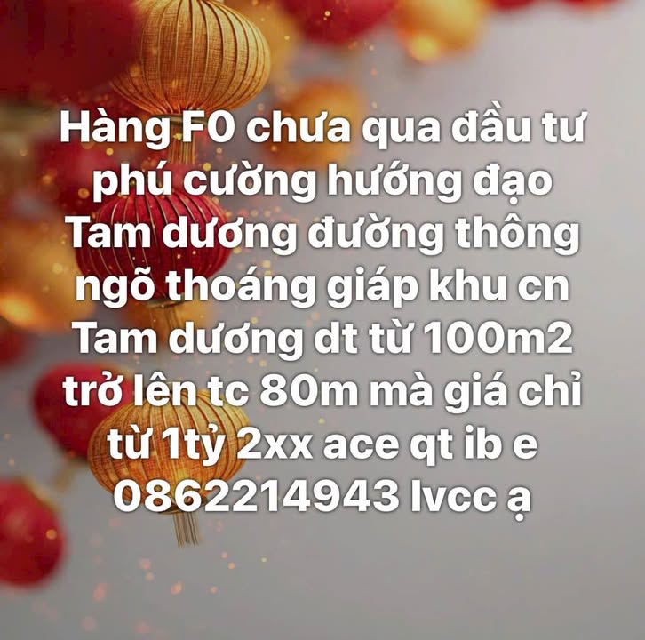 Đất nền F0 Phú Cường Tam Dương 100m² - Sổ đỏ sẵn, giá chỉ 1.2 tỷ