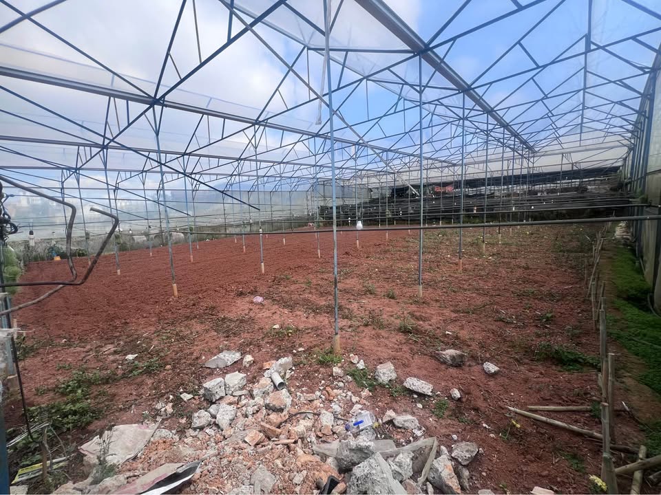 Đất nền Nguyễn Hữu Cảnh Vũng Tàu 84m² - Pháp lý rõ ràng!