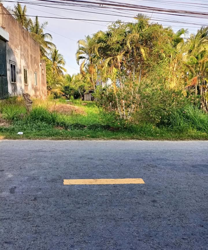 Đất nền Lương Quới Giồng Trôm 273m² - Sổ đỏ chính chủ, nở hậu đẹp!