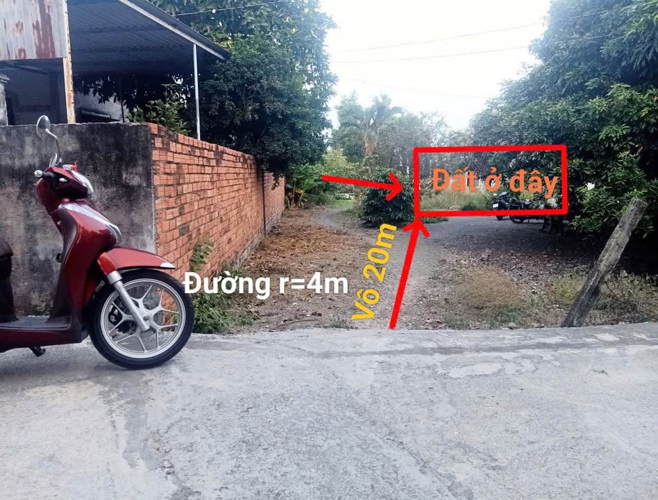 Đất nền Long Điền, Bà Rịa Vũng Tàu 174.5m² - Giá tốt hiếm có!