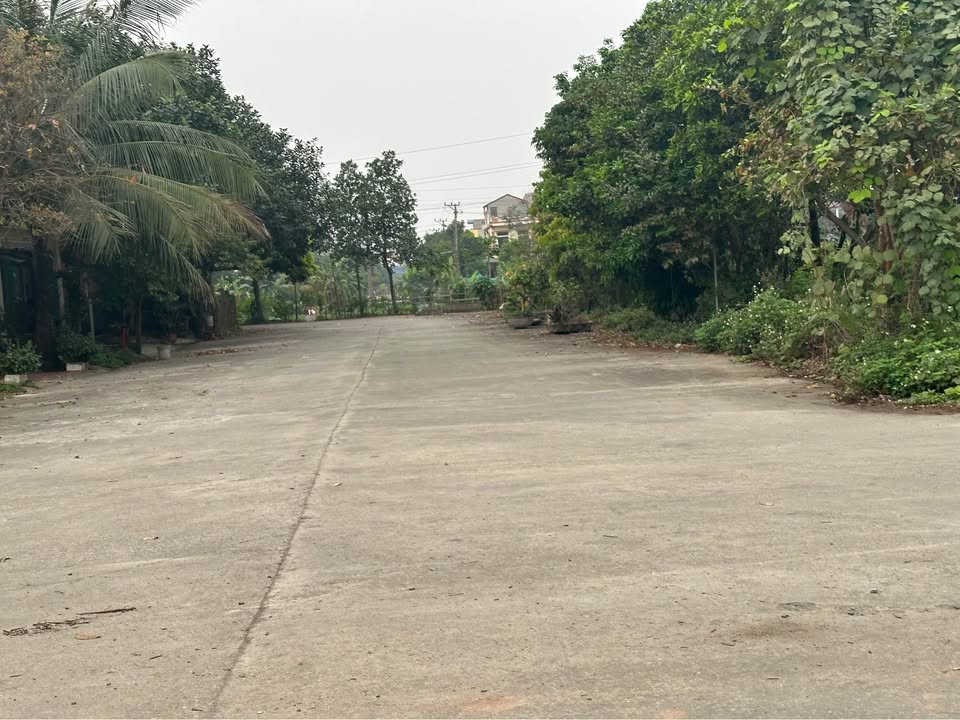 Đất nền Ngõ Đông Phong Ninh Bình 100m² giá từ 3 tỷ - Sổ đỏ chính chủ!