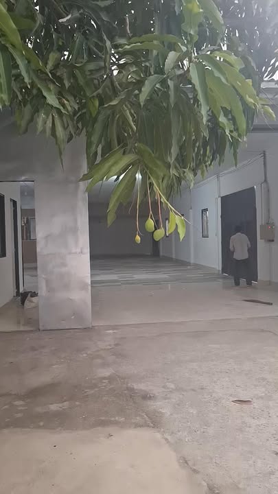 Cho thuê xưởng 650m² Quận 12, Điện 3 Pha - Giá 40 Triệu