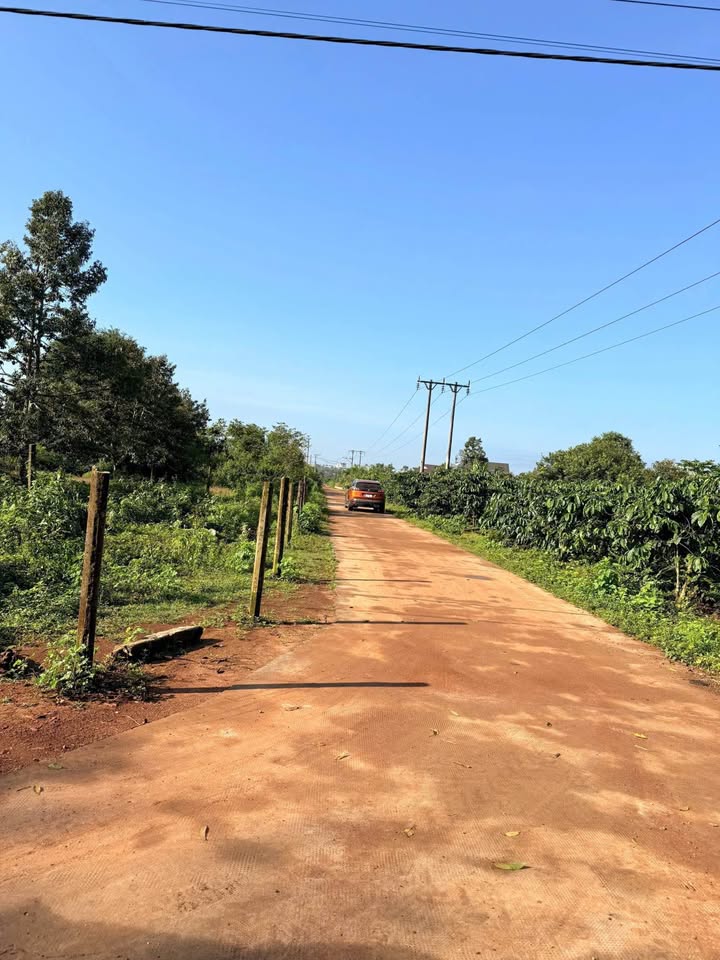 Bán Đất Nền Làng Brong, Pleiku 125m² - Sổ Đỏ Full Thổ Cư, Giá Đầu Tư Tốt