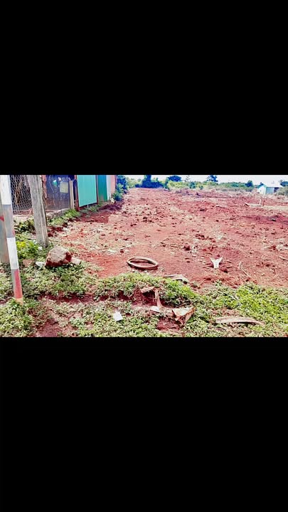 Đất Nông Nghiệp 3000m² Mặt Đường Bê Tông Đăk Đoa, Gia Lai - Sổ Sẵn Sàng