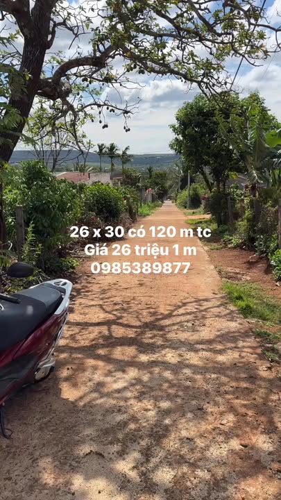 Đất nền Ia Phìn 780m² Gia Lai - Sổ đỏ chính chủ, tiềm năng tăng giá!