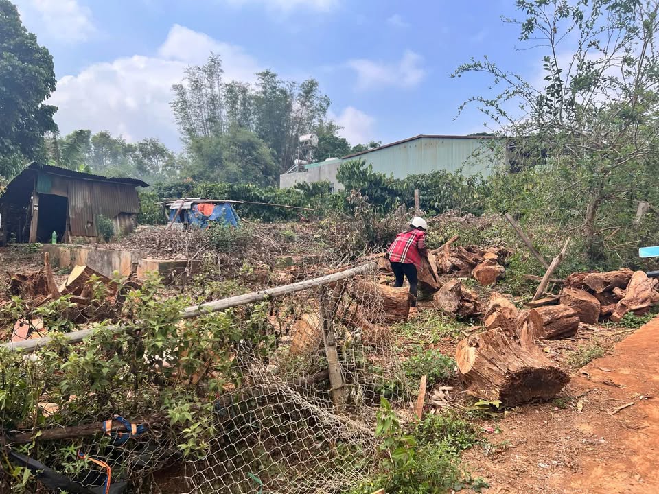 Bán Đất Hẻm Bùi Dự Pleiku 270m² - Sổ Đỏ Thổ Cư, Giá Tốt