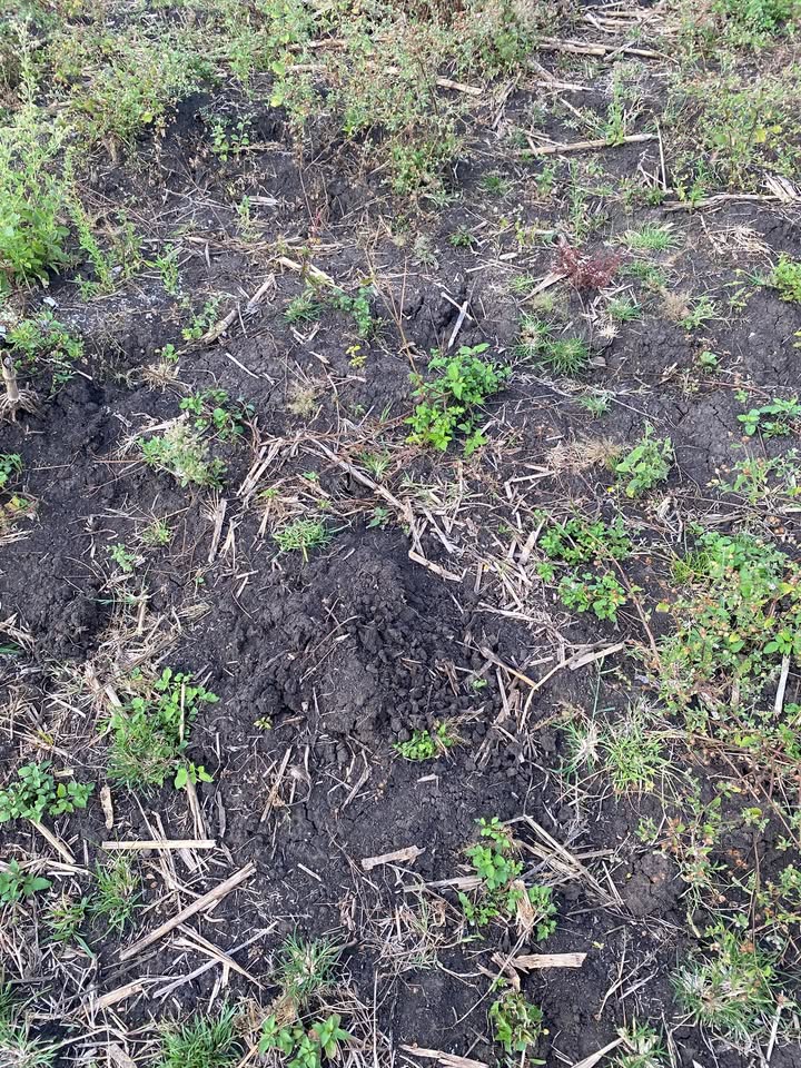 Đất nền 4ha Ia Grăng, Gia Lai - Sổ đỏ tiềm năng, giá đầu tư