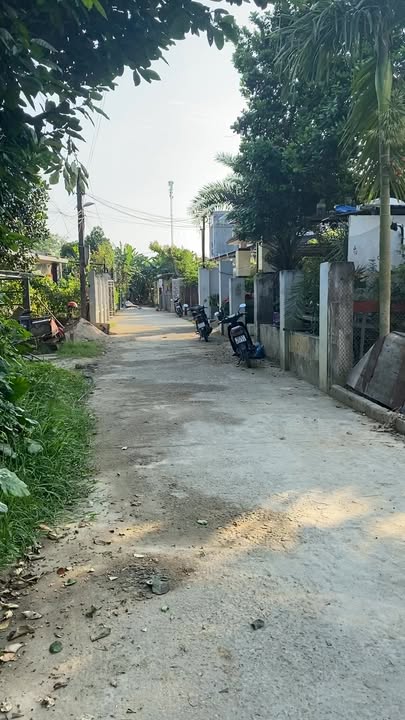 Nhà vườn Đại Quang, Đại Lộc 238m² - Không khí trong lành!