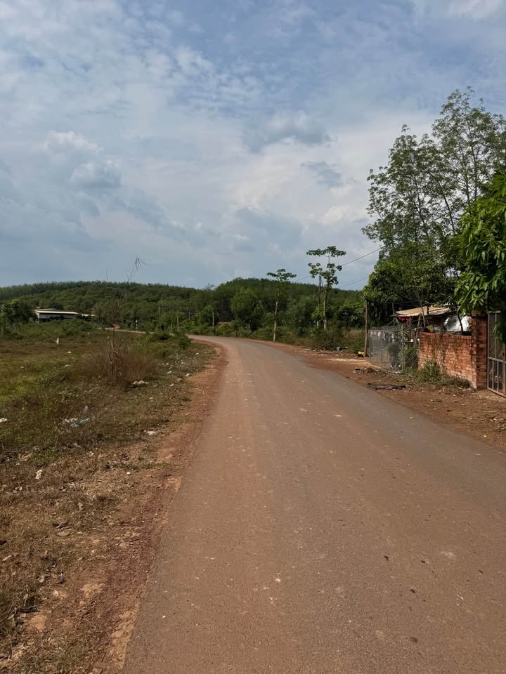 Đất nền TP Đồng Xoài 175m² – Đường to ô tô, tiềm năng tăng giá!