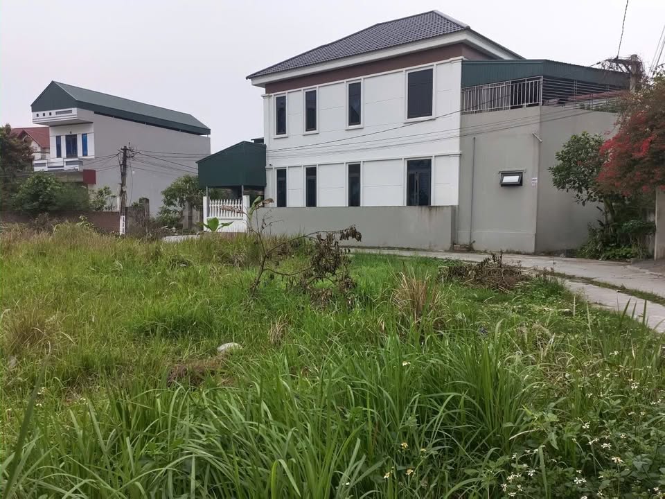 Đất nền Khu Thanh Xá, Liên Hồng 67.1m² - Sổ đỏ chính chủ