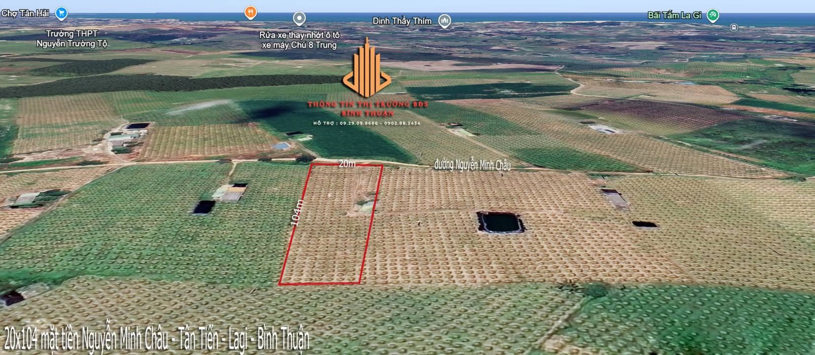 Bán Đất Vườn 1918m² Mặt Tiền Nguyễn Minh Châu, Lagi - Sổ Đỏ Chính Chủ