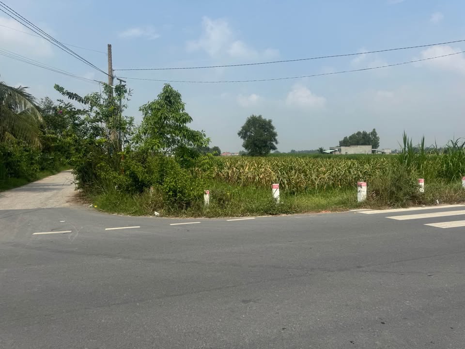 Đất nền Long An 5100m² góc 2 mặt tiền đường Láng Cẩm - Đầu tư sinh lời