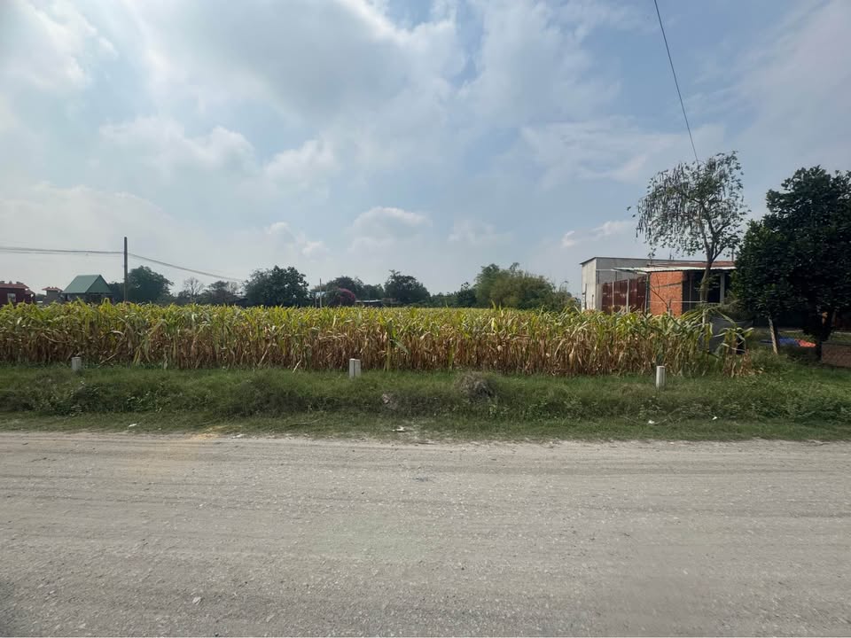 Đất Nền Sổ Hồng Sẵn - Lộc Giang, Đức Hòa 200m² - Giá 1.15 Tỷ/Lô