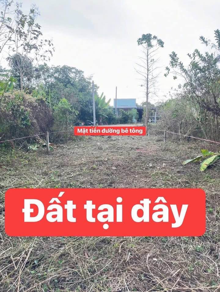 Đất nền Định Quán, Đồng Nai - Mặt tiền đường bê tông 155m² giá 330 triệu