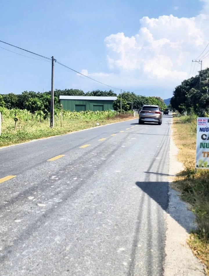 Cho thuê Đất kho 1000m² Cam Lâm - Hoạt động ngay!